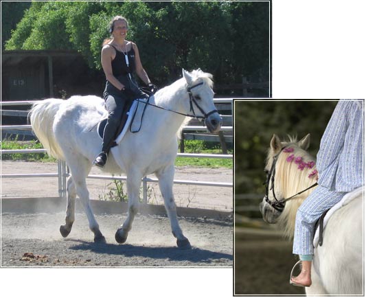 Photo of Beverley Kane Training Dream On iPod