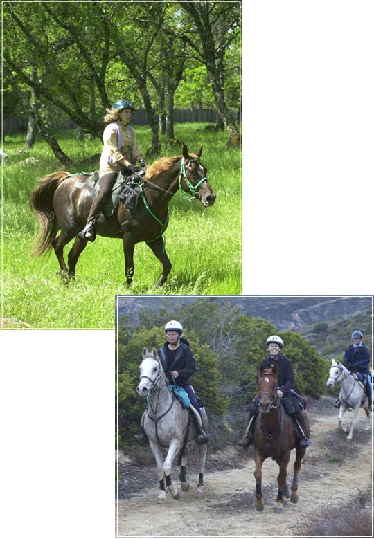 Photo of Beverley Kane in American River Classic