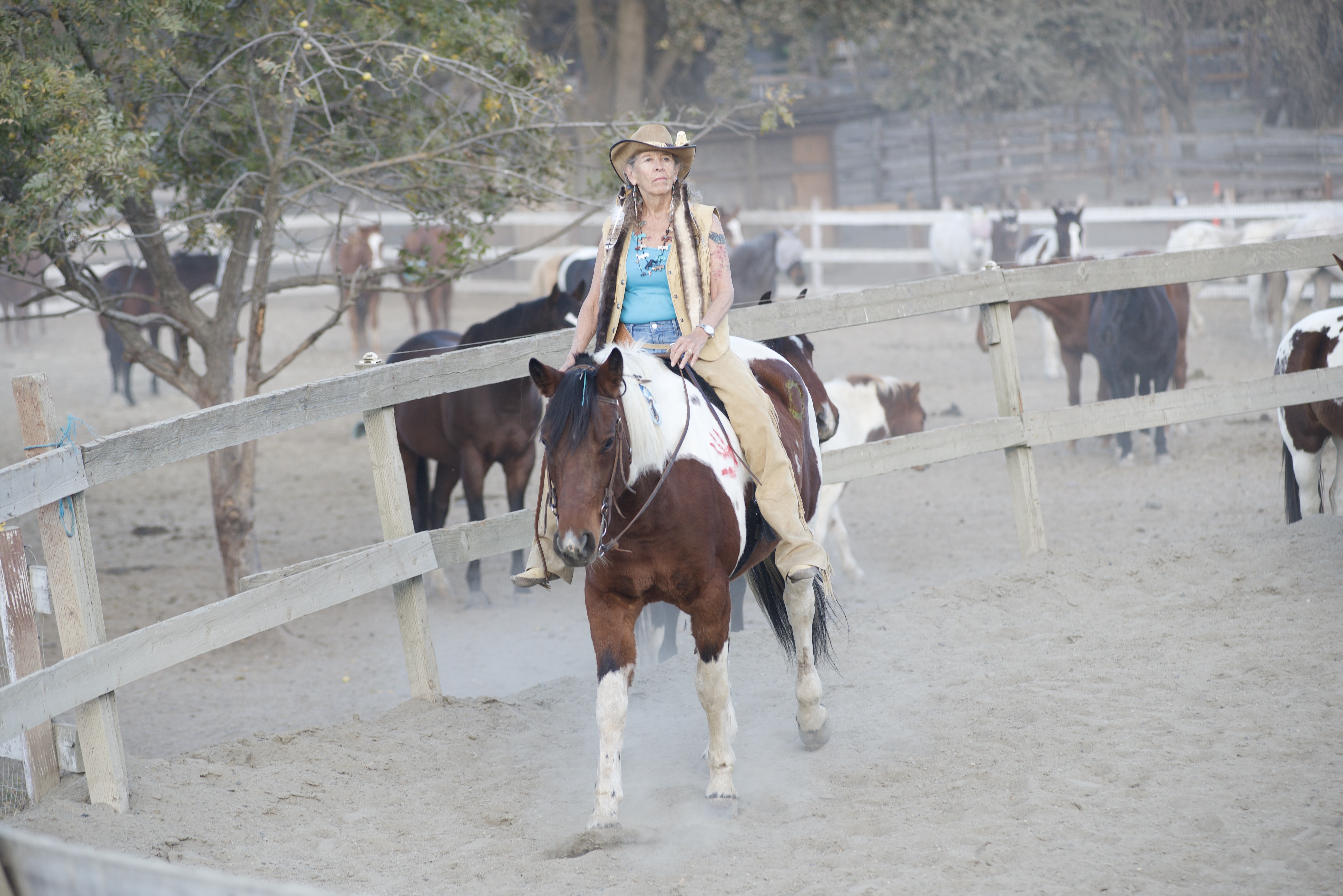 Lesson horses watch Talula and Beverley teach Equine-imity