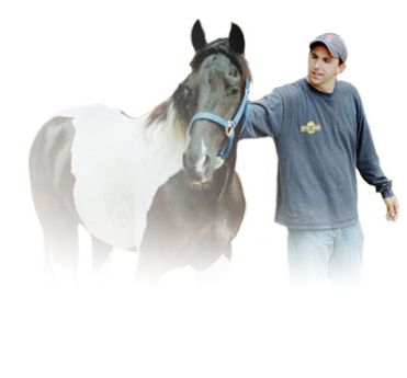 Photo of man petting a horse